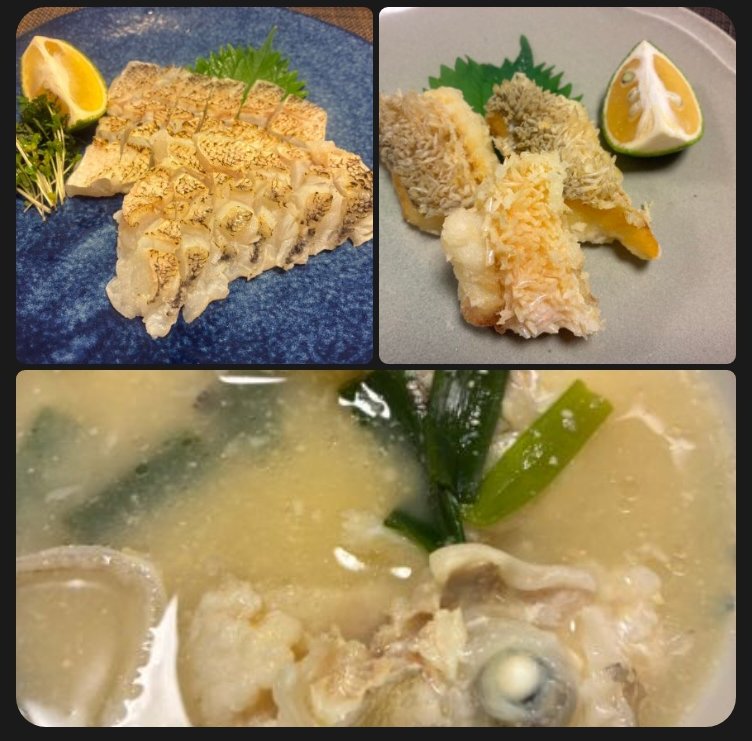 釣果写真
